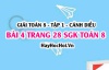 Giải bài 4 trang 28 Toán 8 Tập 1 SGK Cánh Diều